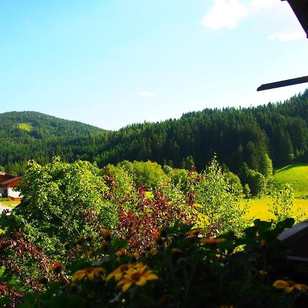 Appartment Kainhofer Sankt Martin am Tennengebirge Exterior photo